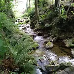 El Rinconin De Degu San Juan de Parres