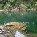 El Rinconin De Degu *