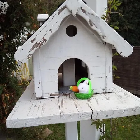 El Rinconin De Degu Сан-Хуан-де-Паррес