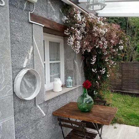 El Rinconin De Degu *