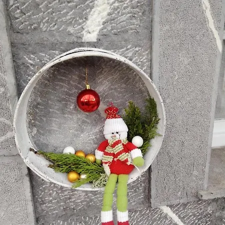 El Rinconin De Degu * San Juan de Parres