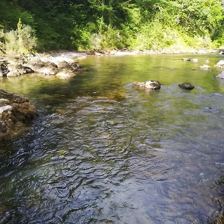 El Rinconin De Degu *