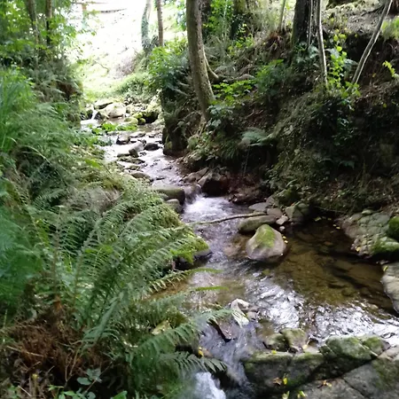 El Rinconin De Degu San Juan de Parres