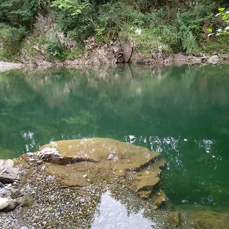 El Rinconin De Degu *