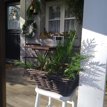 El Rinconin De Degu *