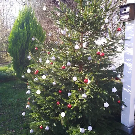 El Rinconin De Degu Casa vacanze San Juan de Parres