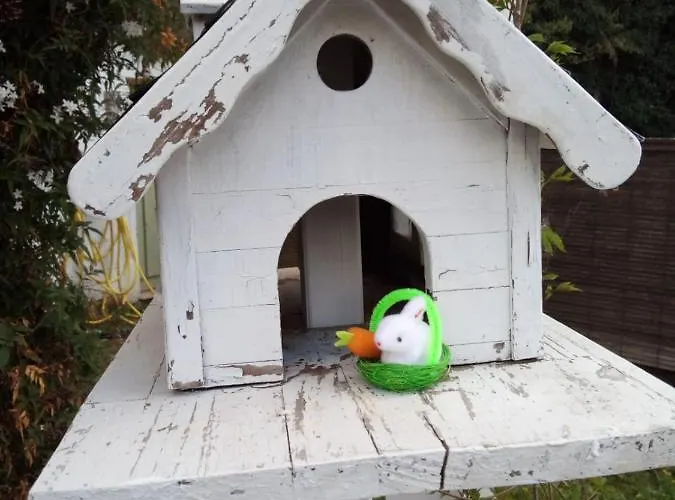 El Rinconin De Degu San Juan de Parres