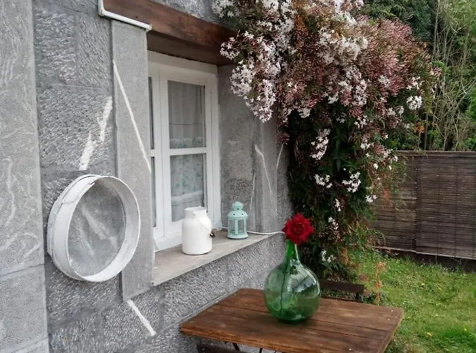 El Rinconin De Degu *