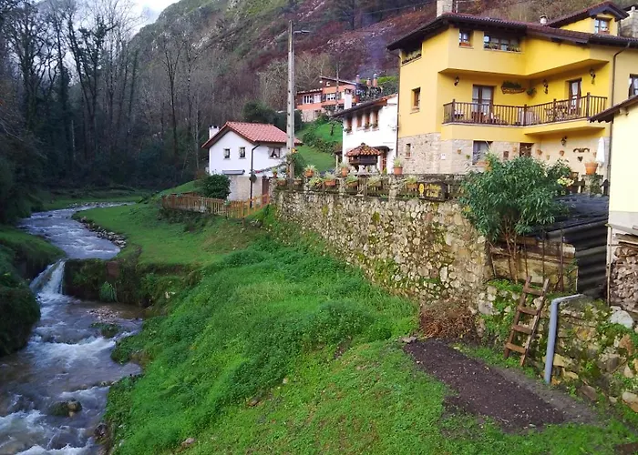 El Rinconin De Degu *
