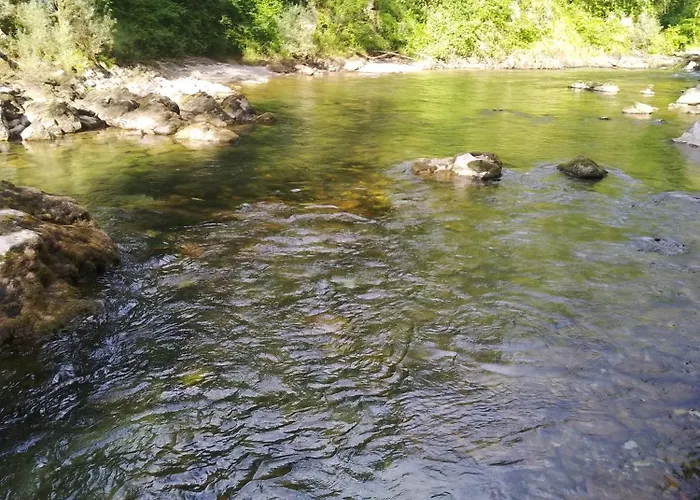 El Rinconin De Degu *