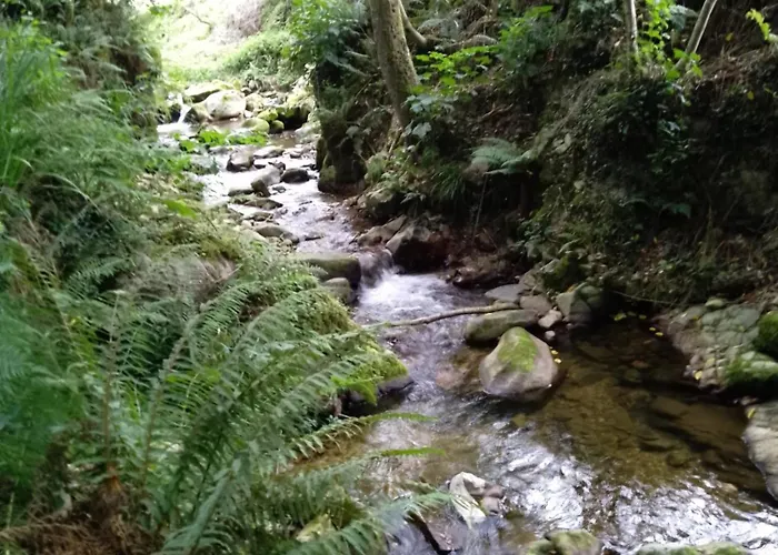 El Rinconin De Degu San Juan de Parres