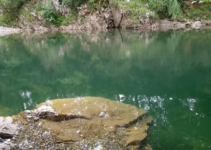 El Rinconin De Degu *