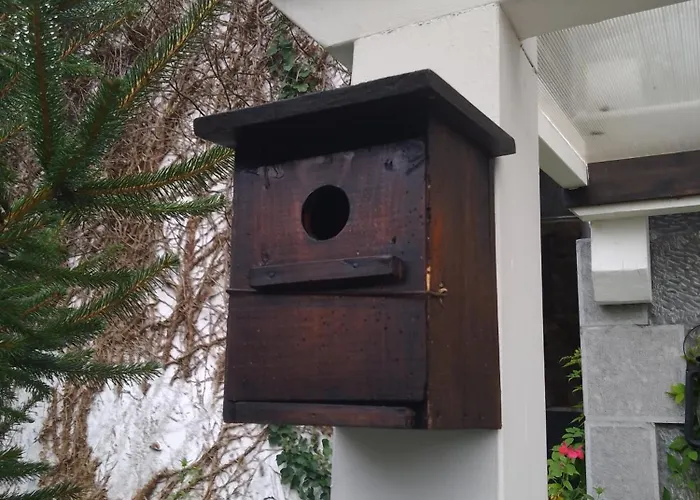 Сasa de vacaciones El Rinconin De Degu *