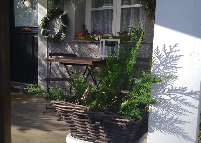 El Rinconin De Degu *