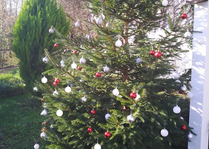 El Rinconin De Degu Сasa de vacaciones San Juan de Parres
